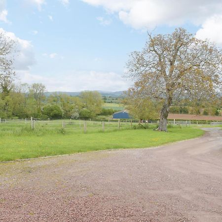 Villa Woltons Mill Much Marcle Exterior foto