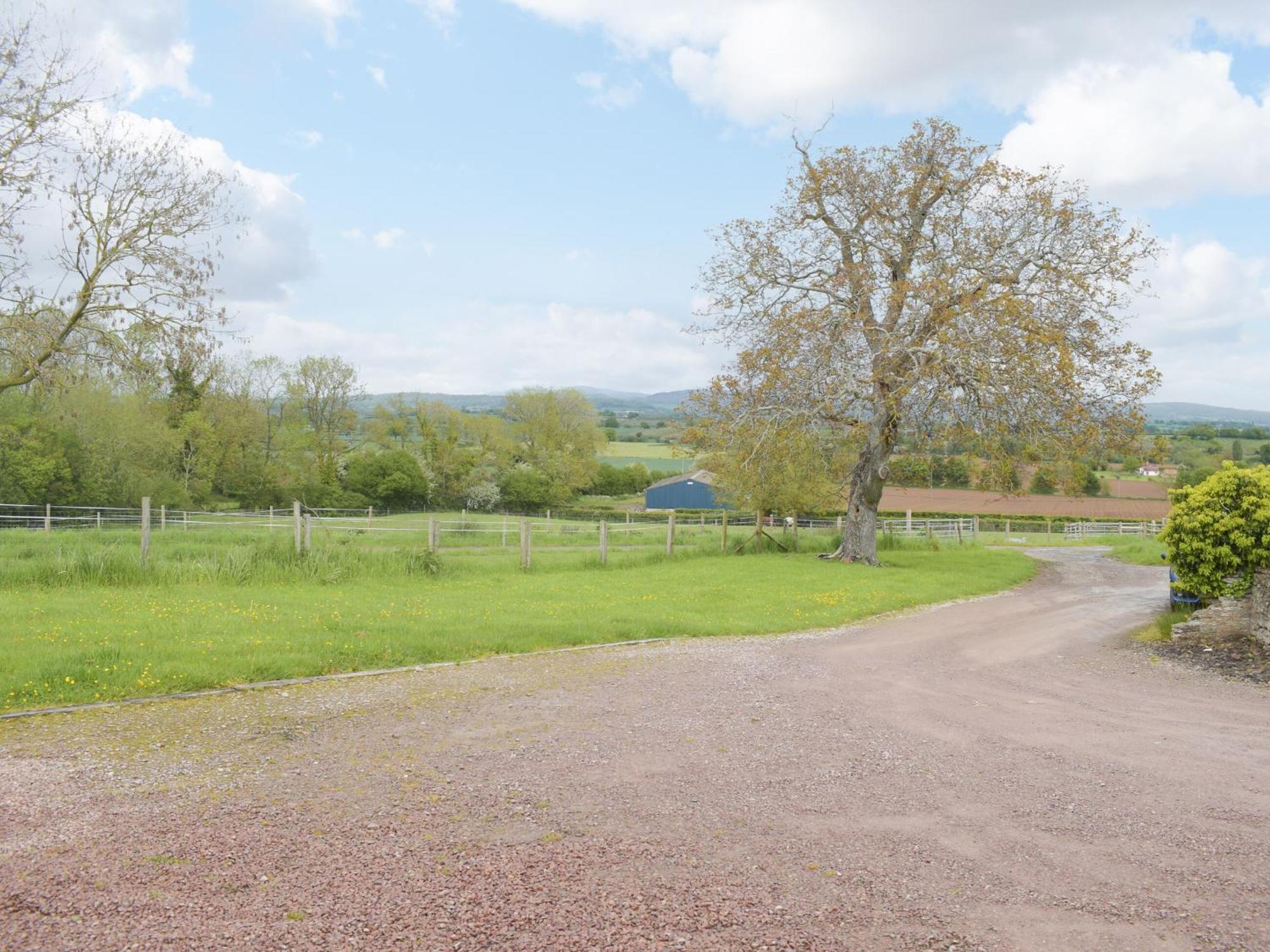 Villa Woltons Mill Much Marcle Exterior foto